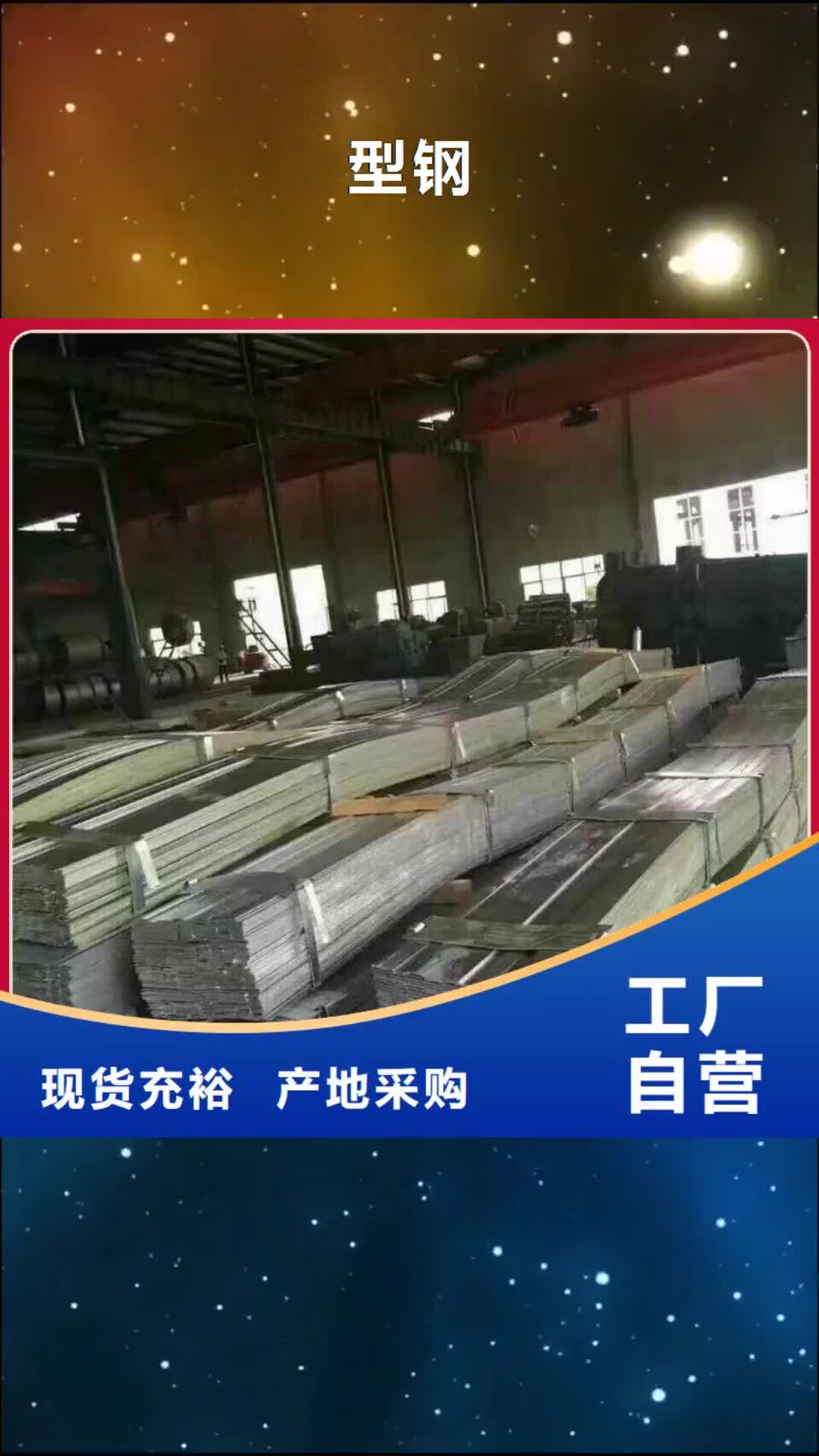 忻州 型钢 【H型钢抛丸喷漆】海量现货直销