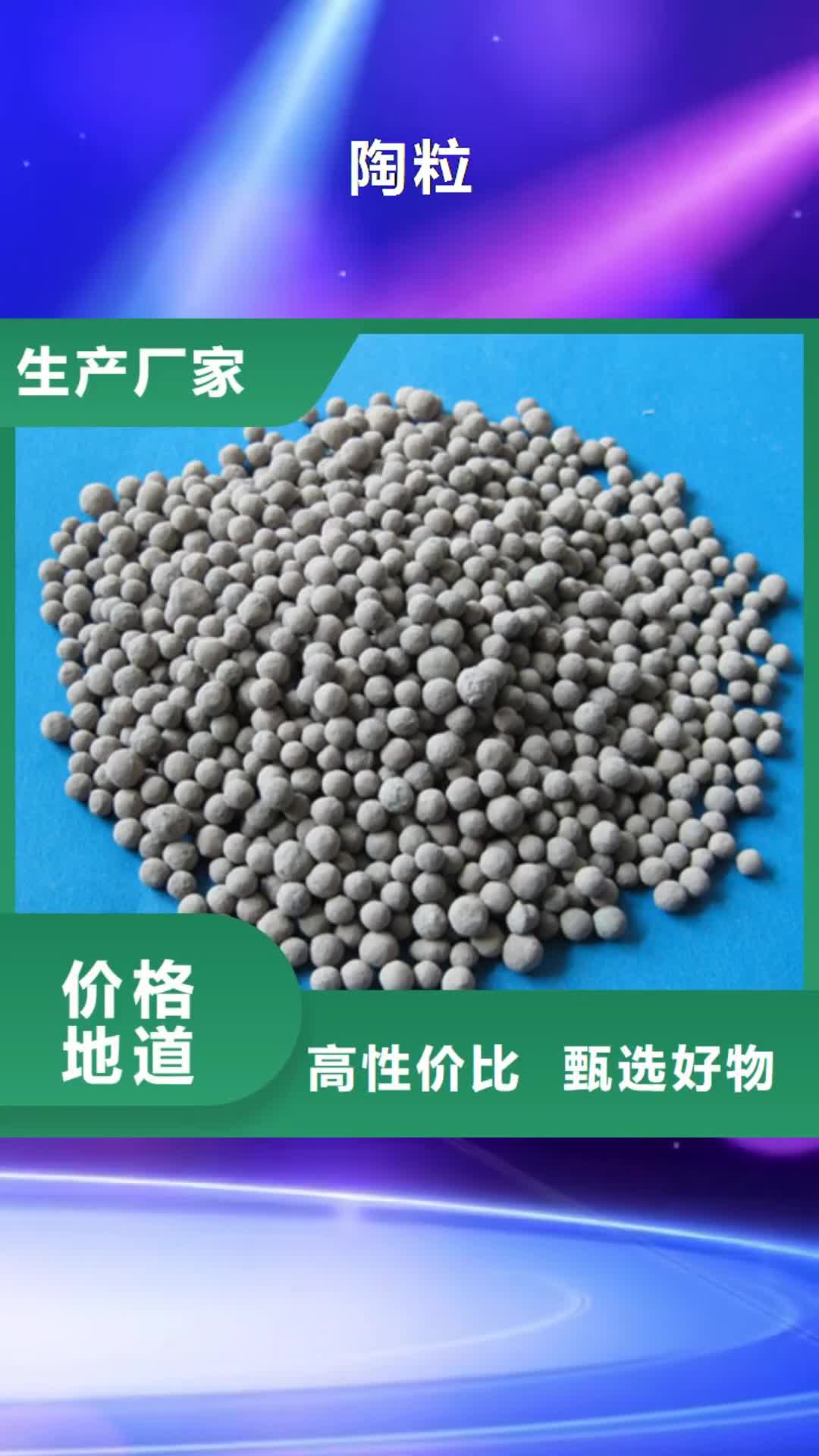 【朝阳 陶粒-蜂窝斜管填料 来电咨询】
