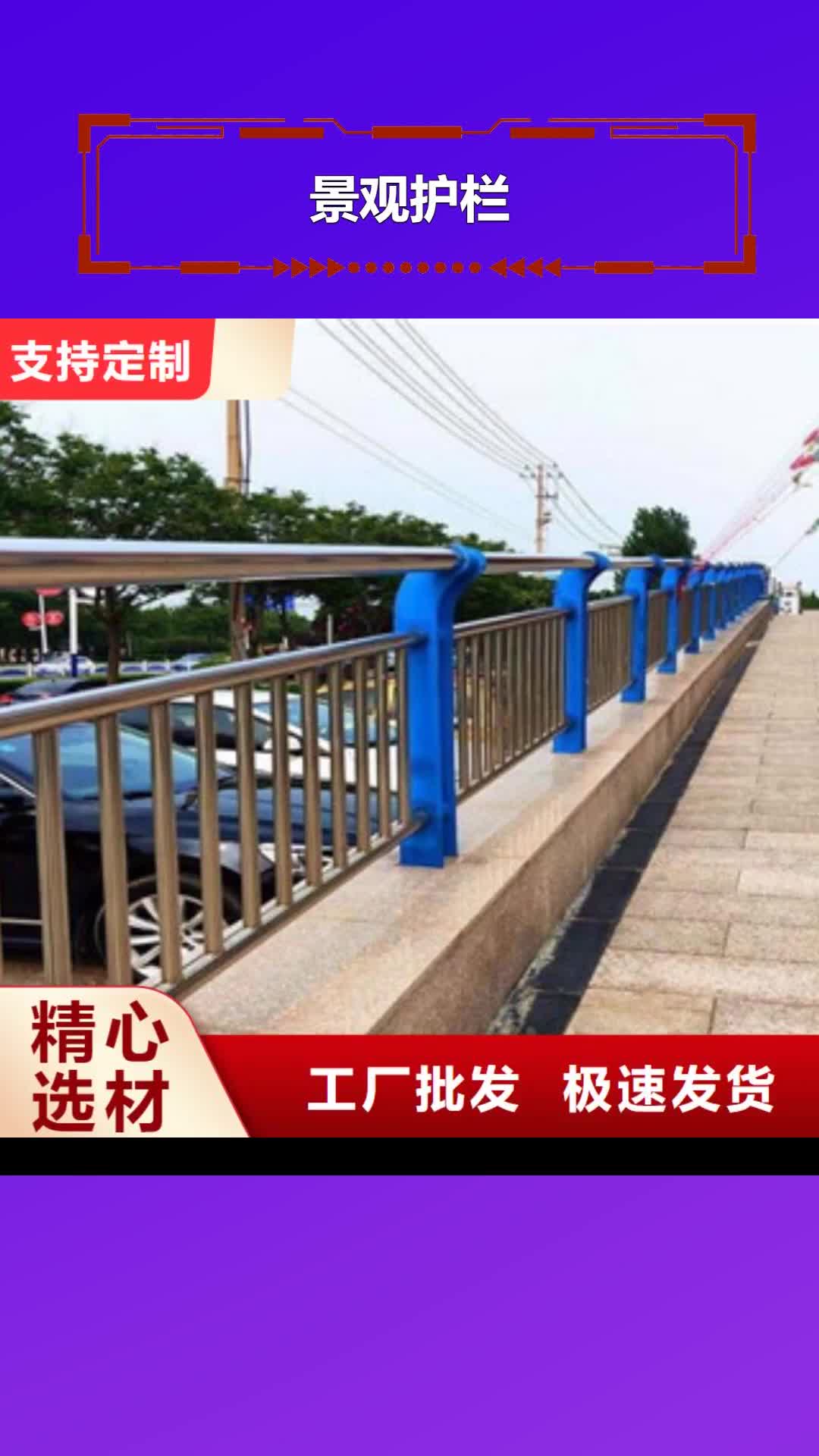 【临沂 景观护栏-河道护栏一手货源源头厂家】