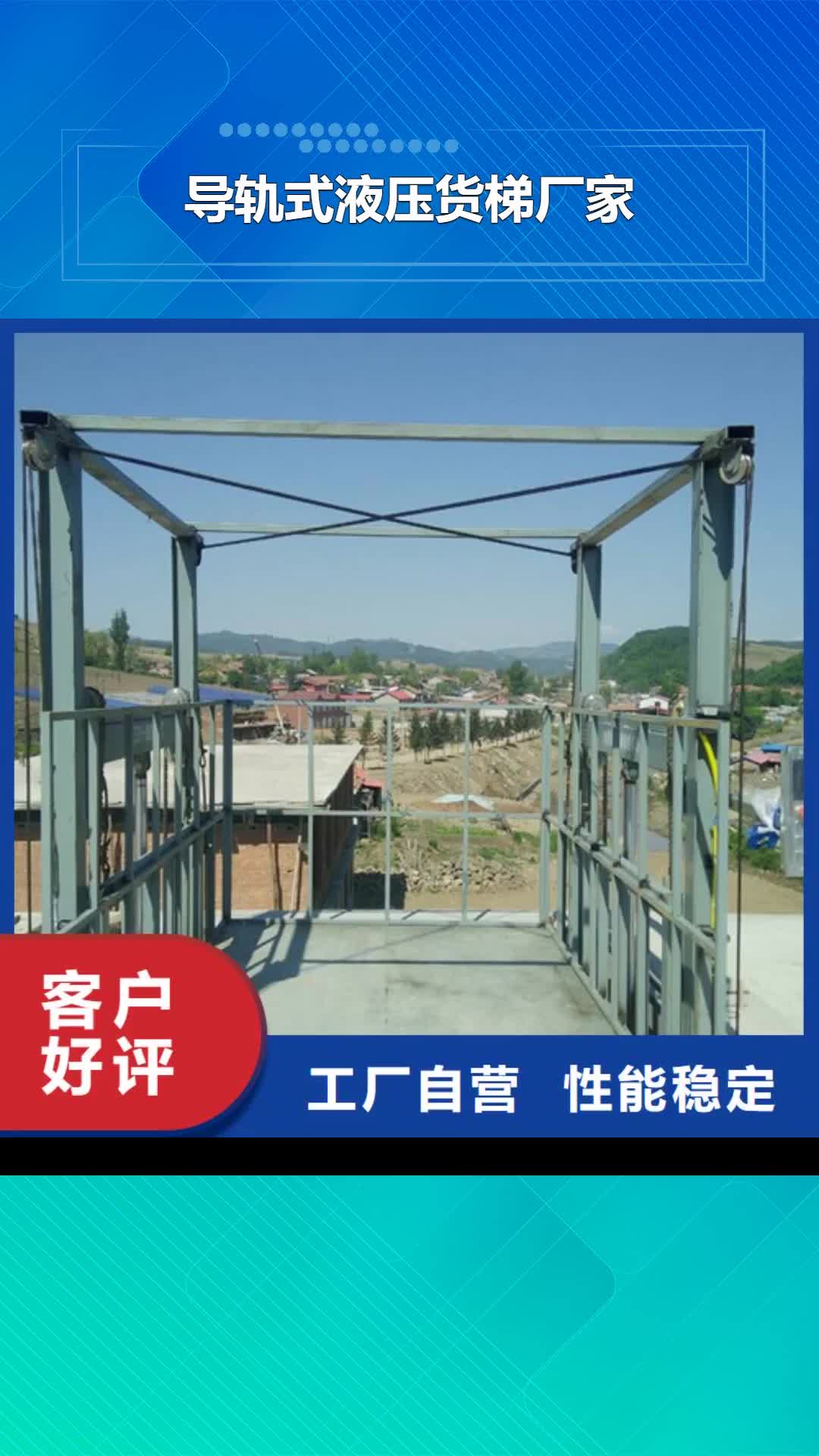 上海【导轨式液压货梯厂家】,仓储厂房货梯哪家好专业信赖厂家