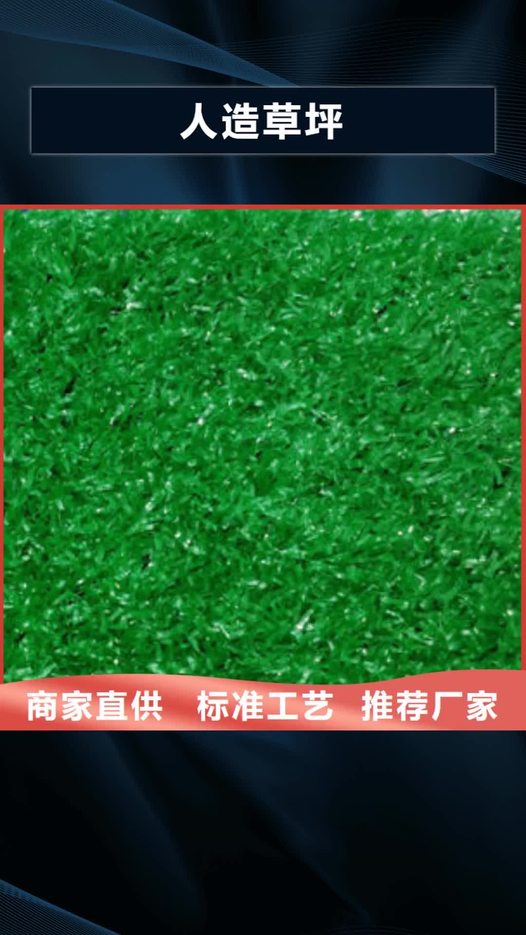 娄底 人造草坪 【橡胶地板】厂家十分靠谱