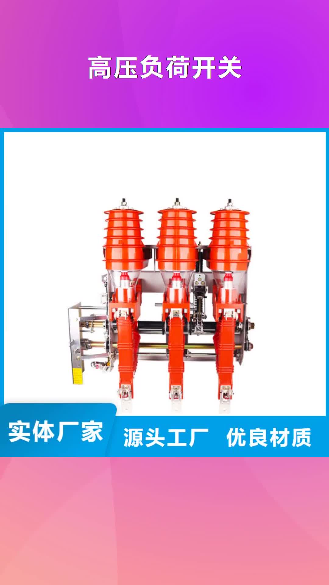 宿迁【高压负荷开关】 XRNP-10KV高压限流熔断器专注细节使用放心