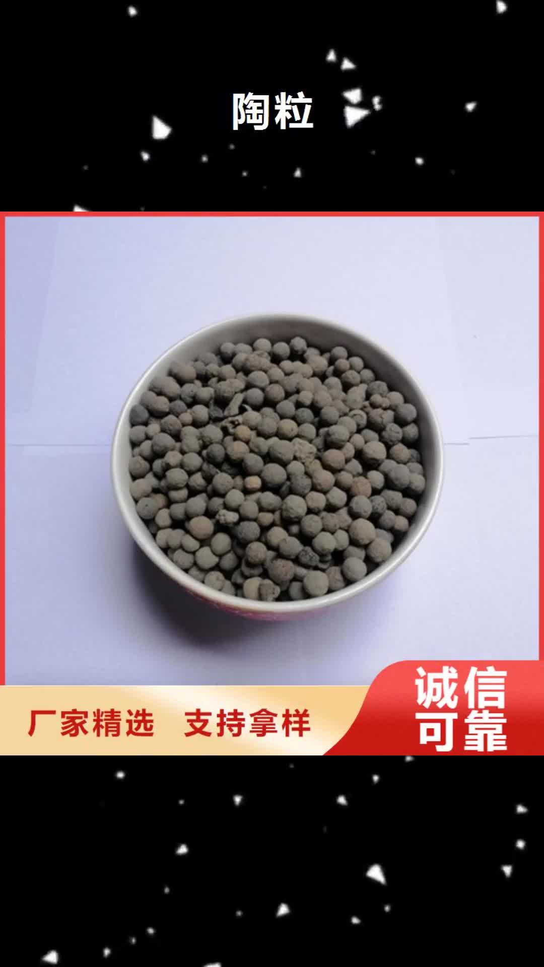 平顶山【陶粒】蜂窝活性炭一手价格