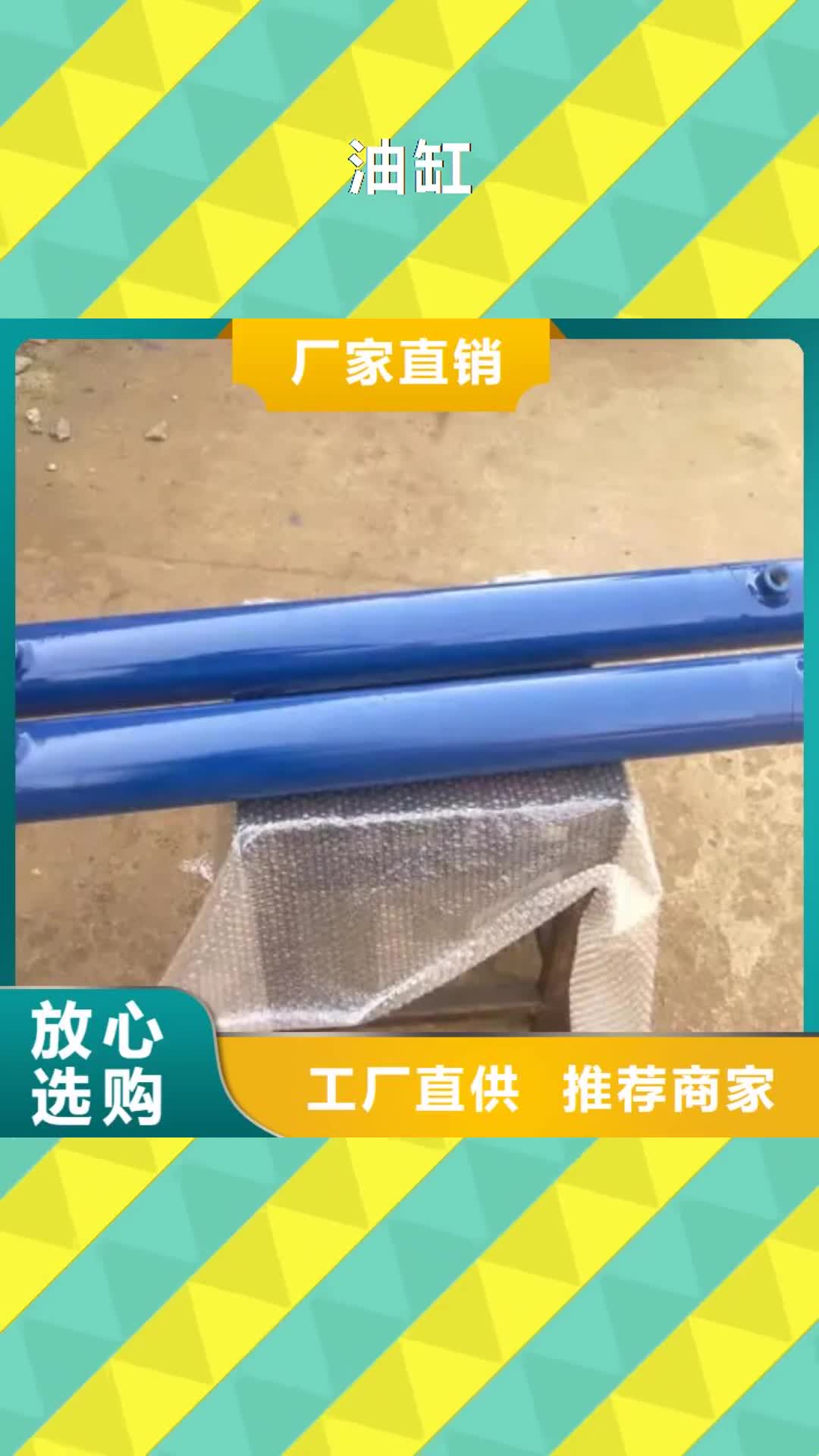 凉山 油缸【传菜电梯厂家】专业的生产厂家