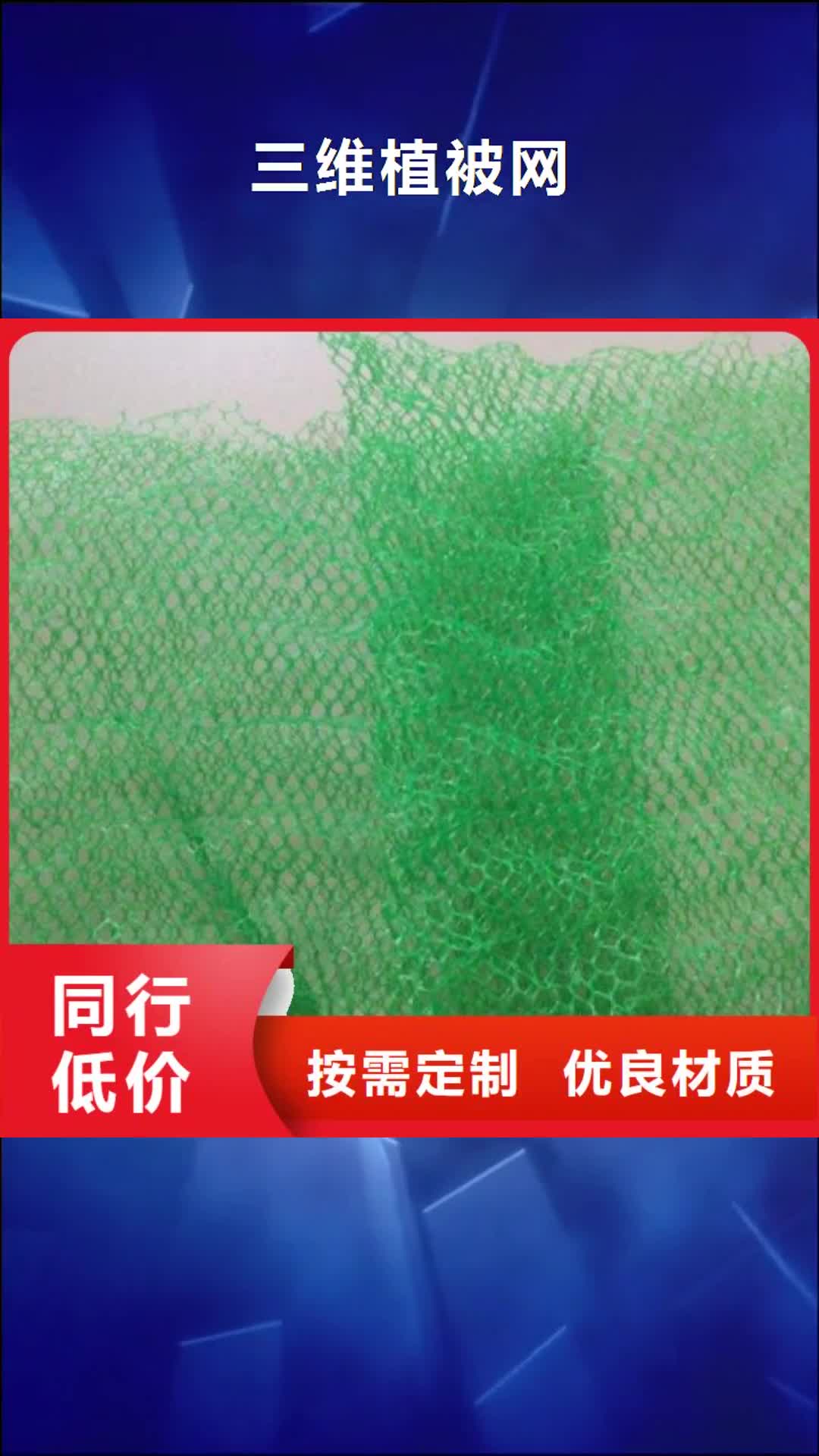 银川【三维植被网】土工格室敢与同行比质量