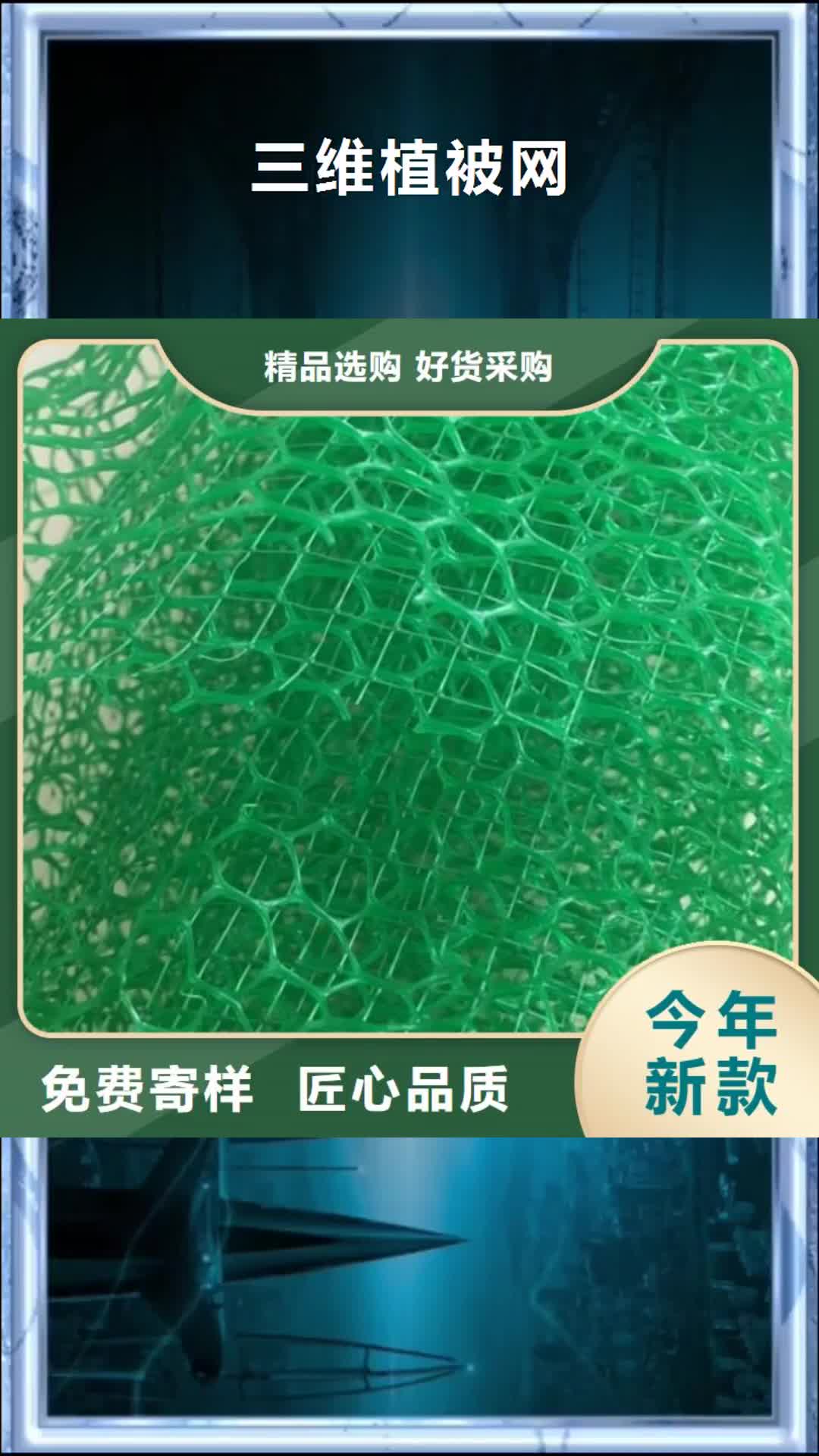 【那曲 三维植被网,蜂巢格室敢与同行比价格】