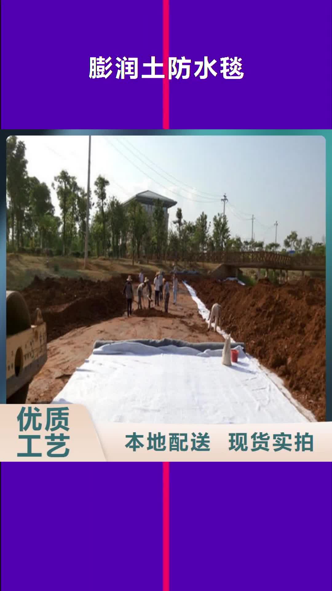 【福州 膨润土防水毯-PP焊接土工格栅厂家直营】
