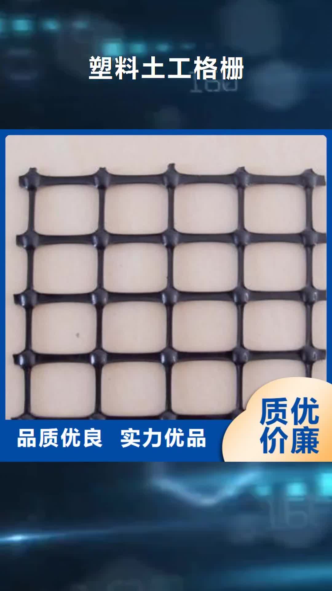 【直辖 塑料土工格栅快速物流发货】