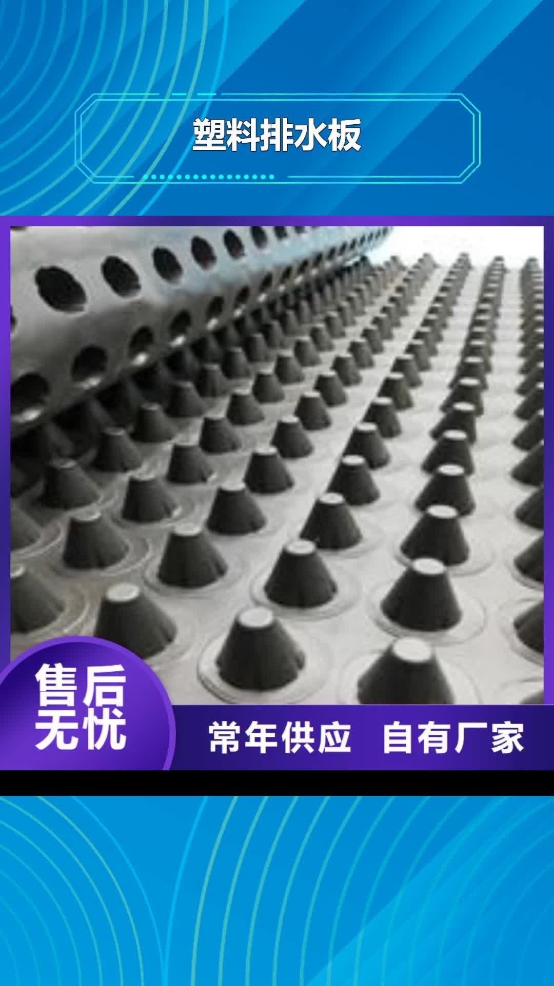 【湖州 塑料排水板 玻纤土工格栅质检严格放心品质】