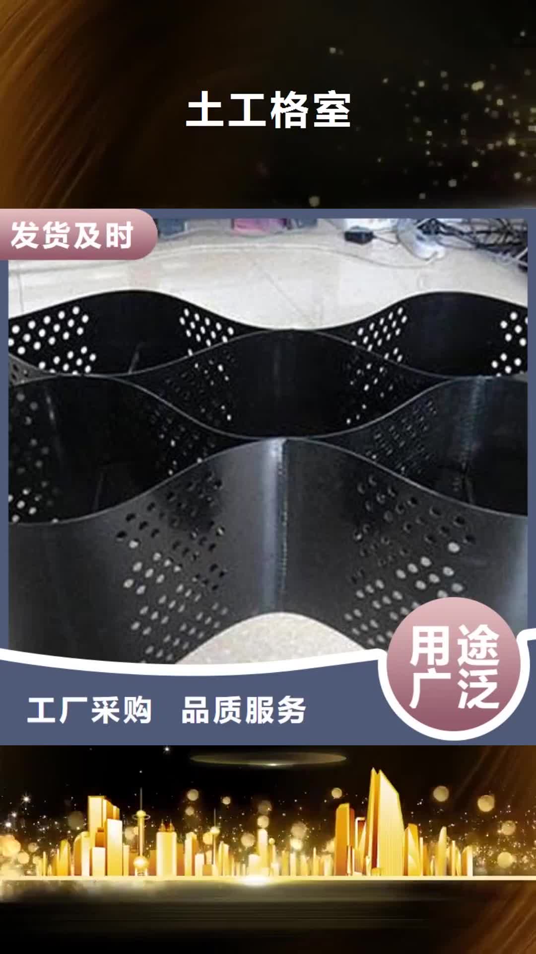 【衡阳 土工格室三维土工网垫可放心采购】
