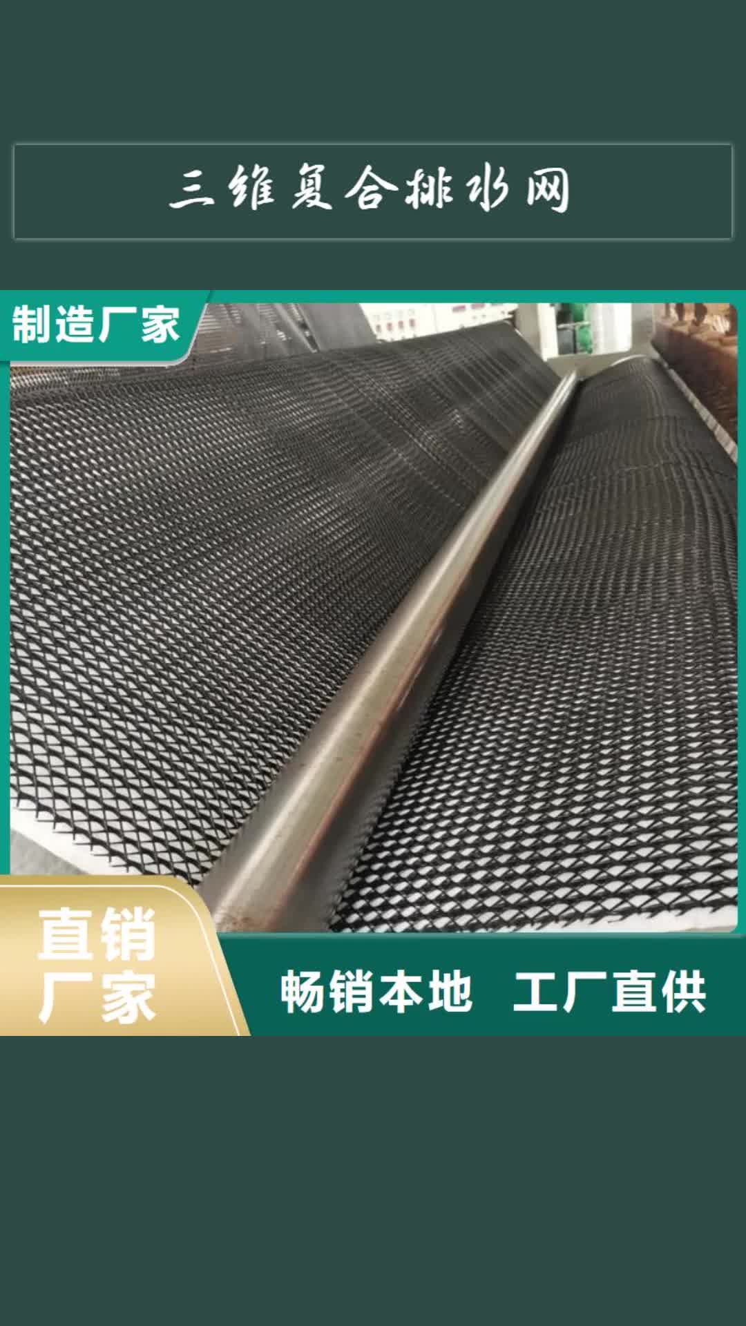 商丘 三维复合排水网【双向土工格栅】精工打造