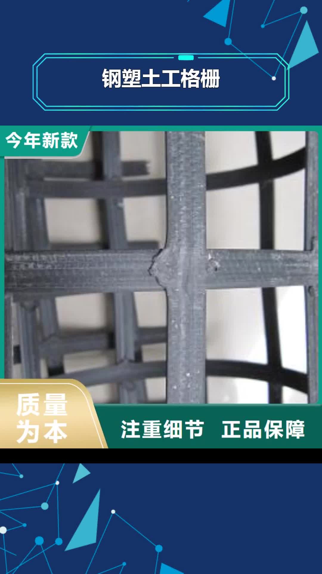菏泽【钢塑土工格栅】-双向塑料格栅 今年新款