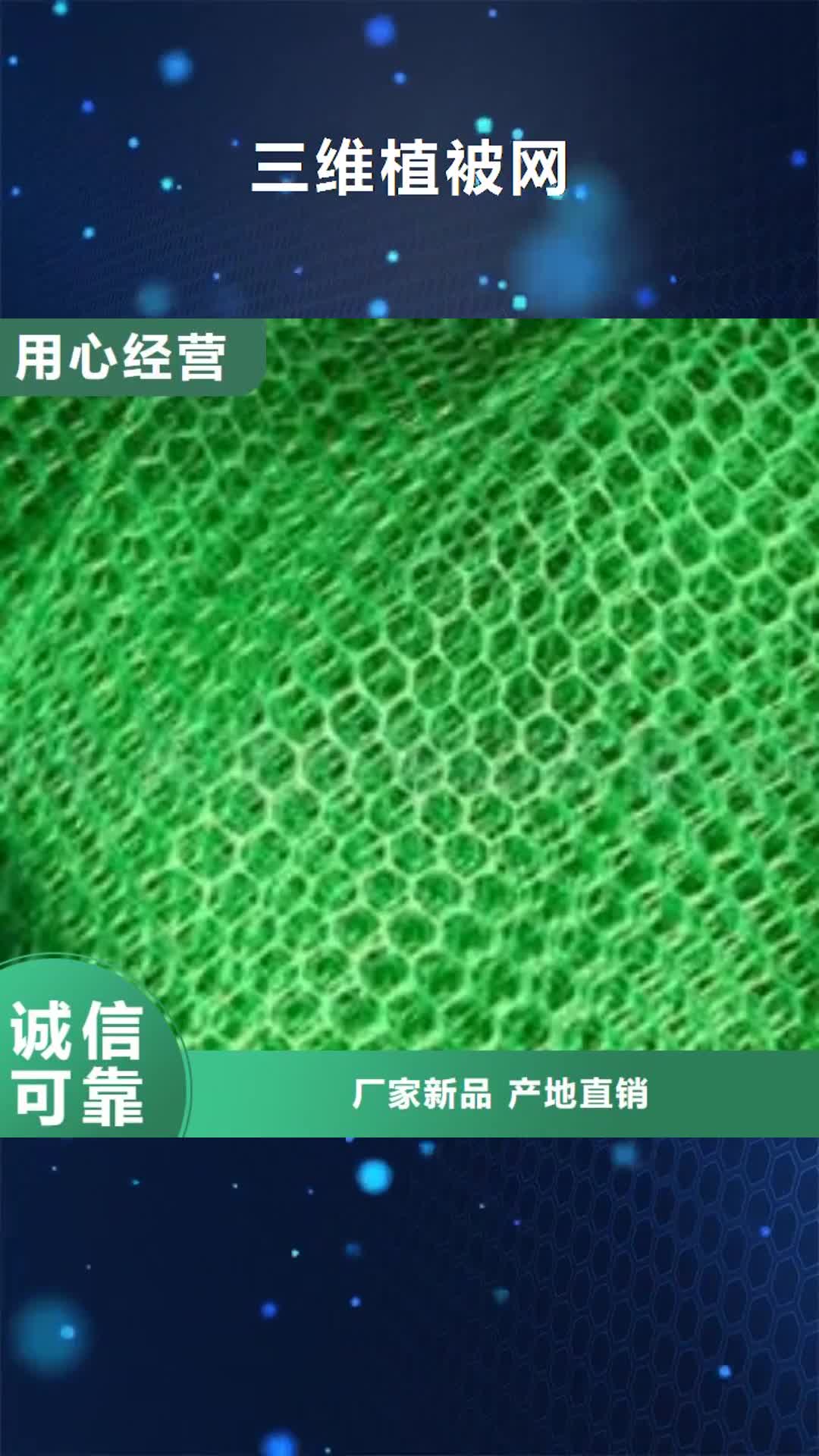 六安【三维植被网】,钢塑土工格栅 经验丰富品质可靠