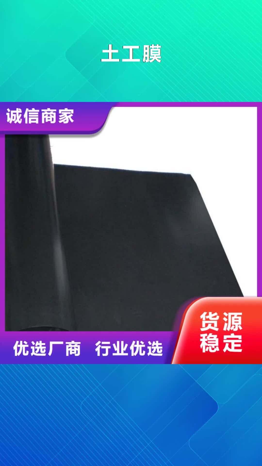 【甘孜 土工膜-双向塑料格栅 专业生产设备】