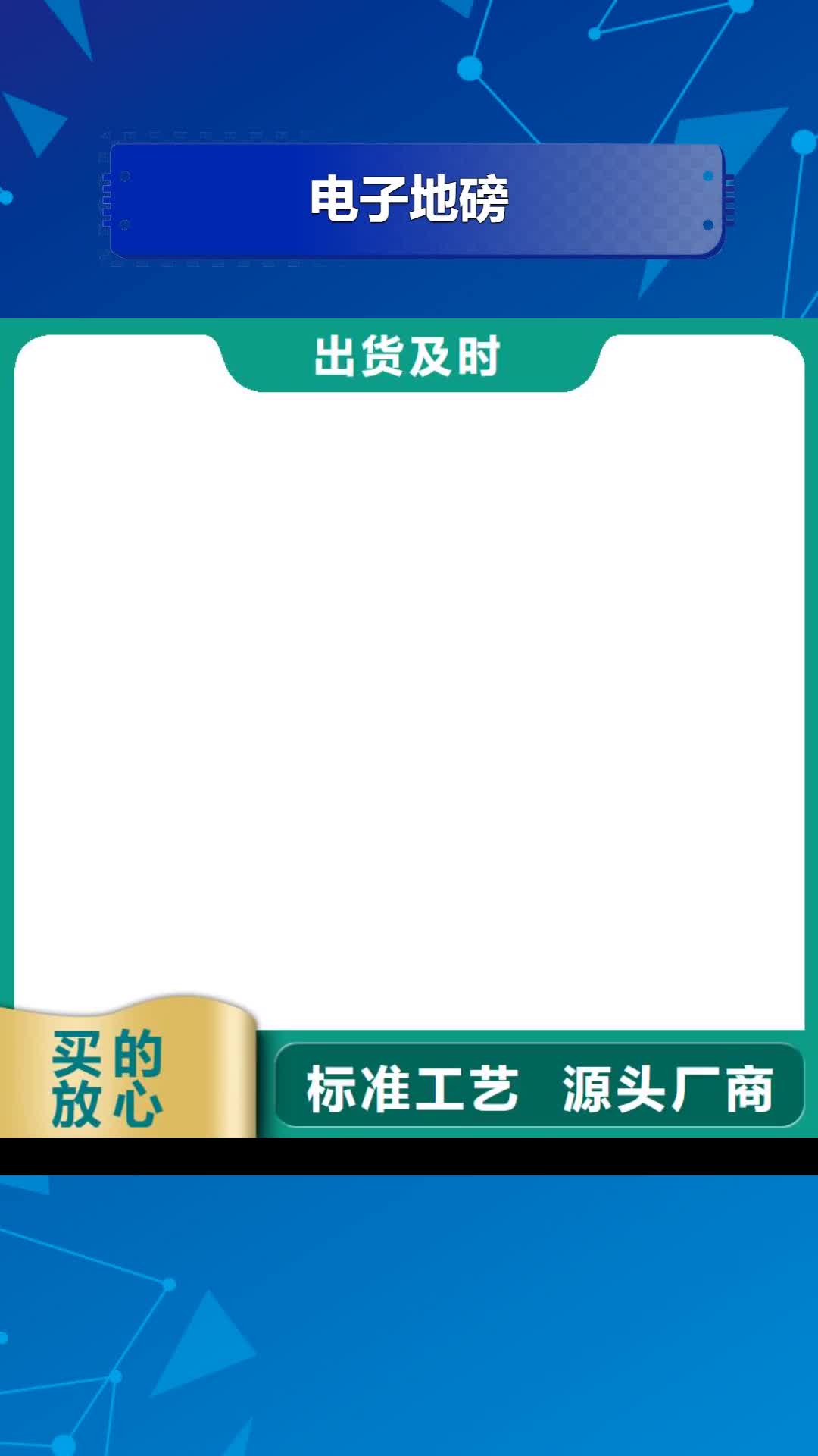 蚌埠 电子地磅,【地磅仪表】精选货源