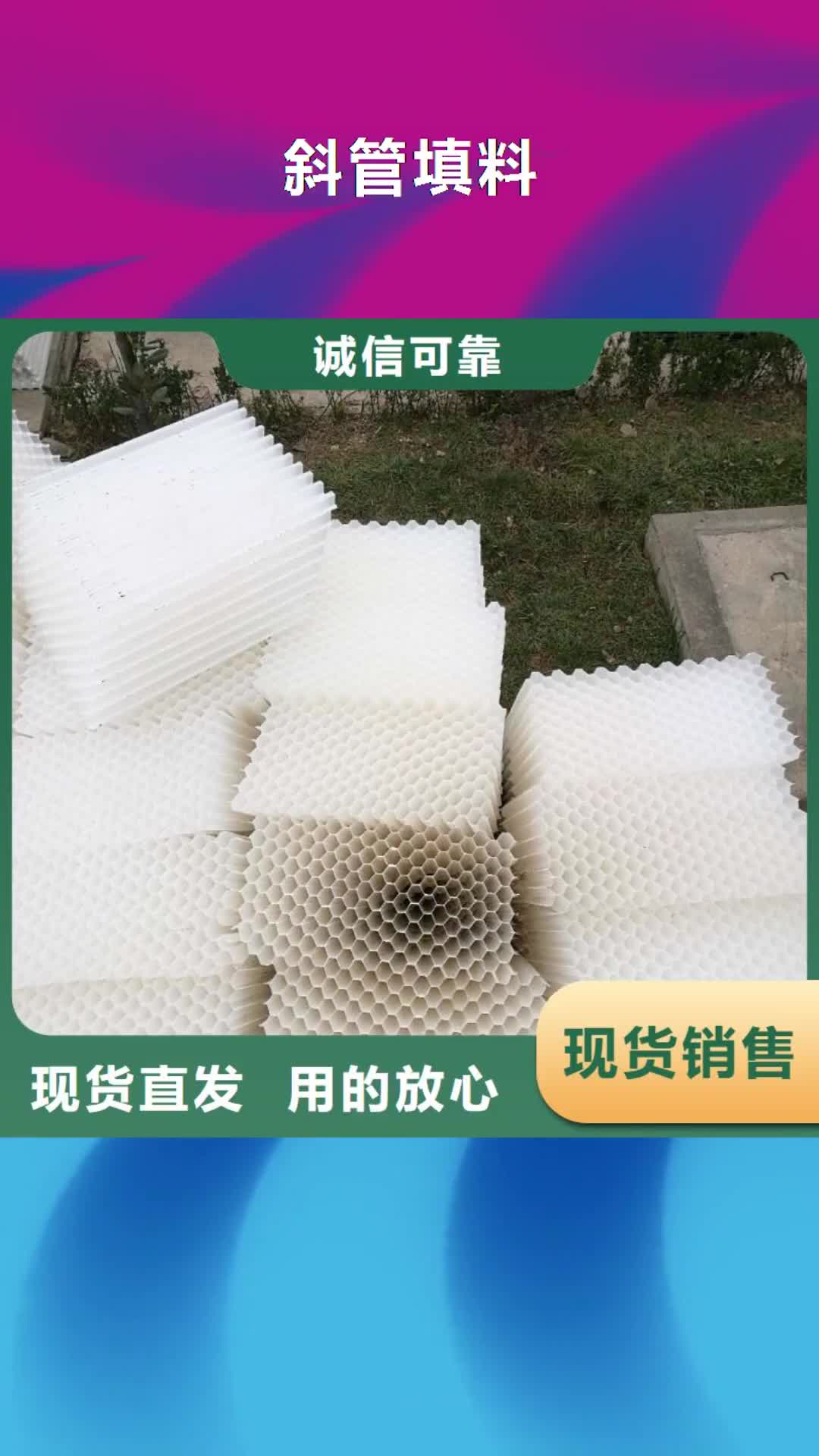 【丽水 斜管填料-柱状活性炭严谨工艺】
