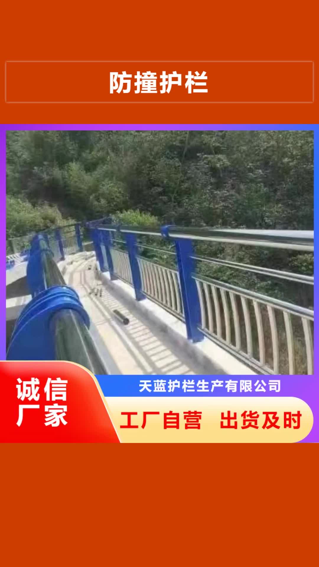 铜仁【防撞护栏】_桥梁防撞护栏用心服务