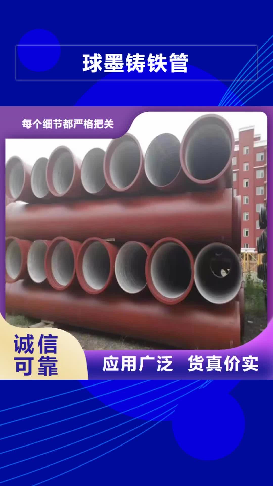 定西 球墨铸铁管-【Gcr15精密管厂】原厂制造