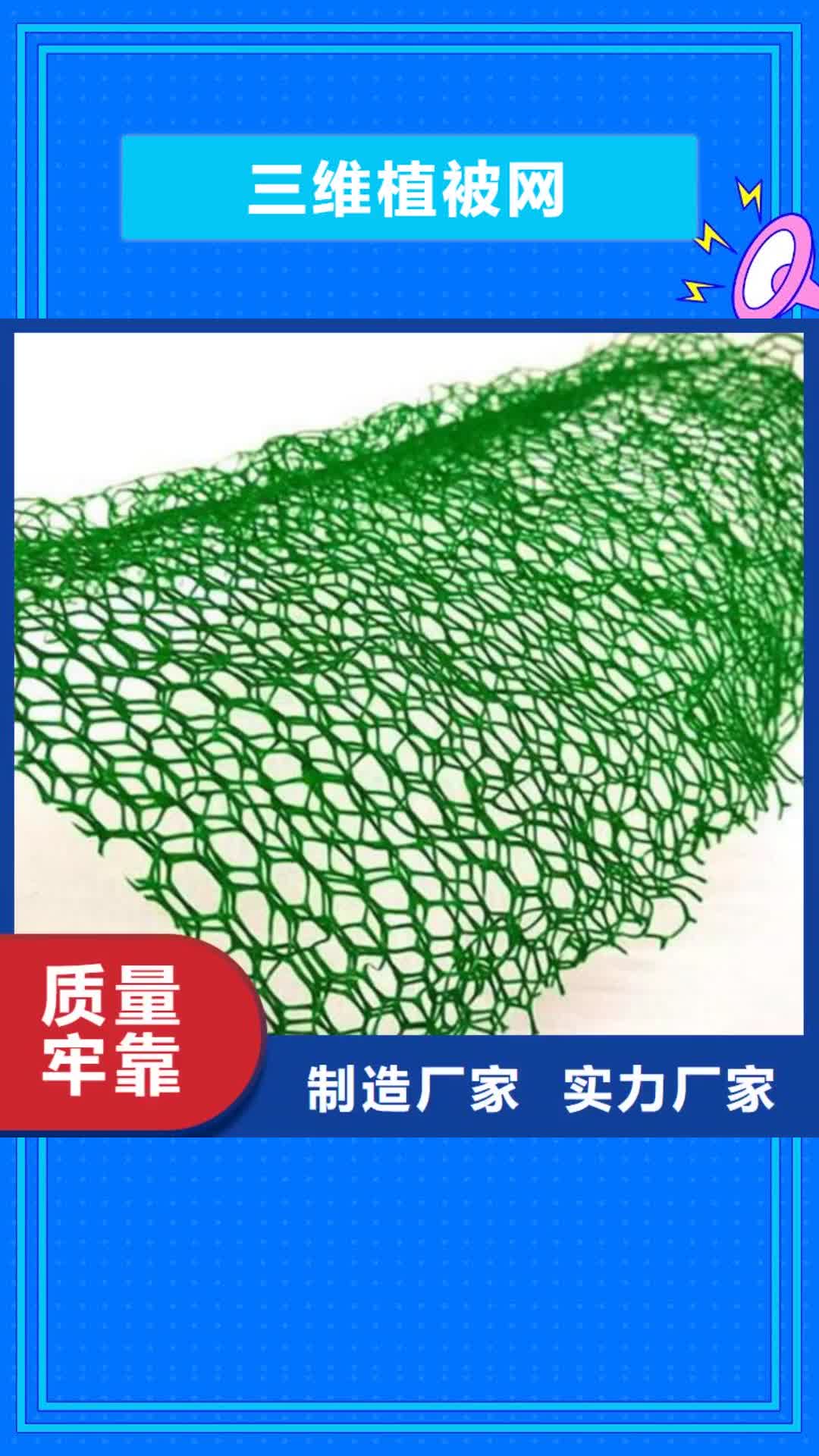 【常州 三维植被网,土工格栅满足客户所需】