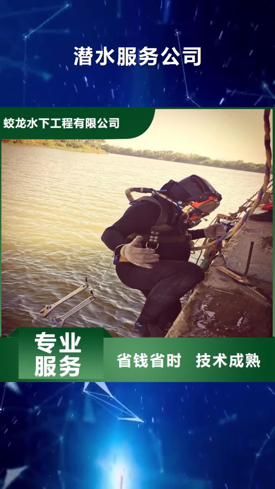 【宝鸡 潜水服务公司-水下打捞先进的技术】