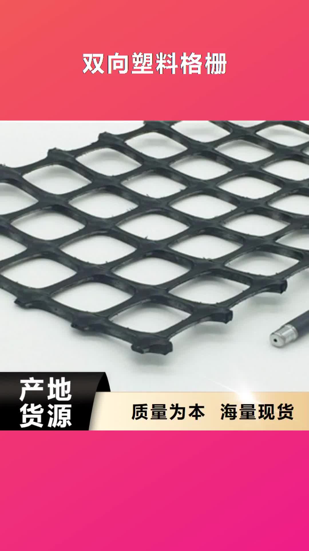 广安【双向塑料格栅】,三维植被网国标检测放心购买