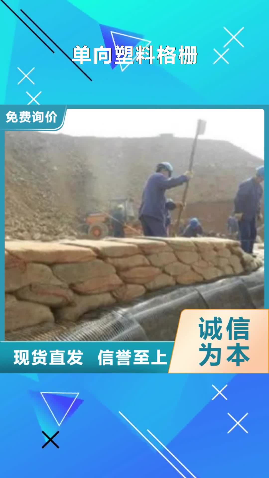 【德宏 单向塑料格栅膨润土防水毯优良工艺】